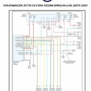 VOLKSWAGEN JETTA GLS VR6 SEDAN (9M2) V6-2.8L (AFP) 2001